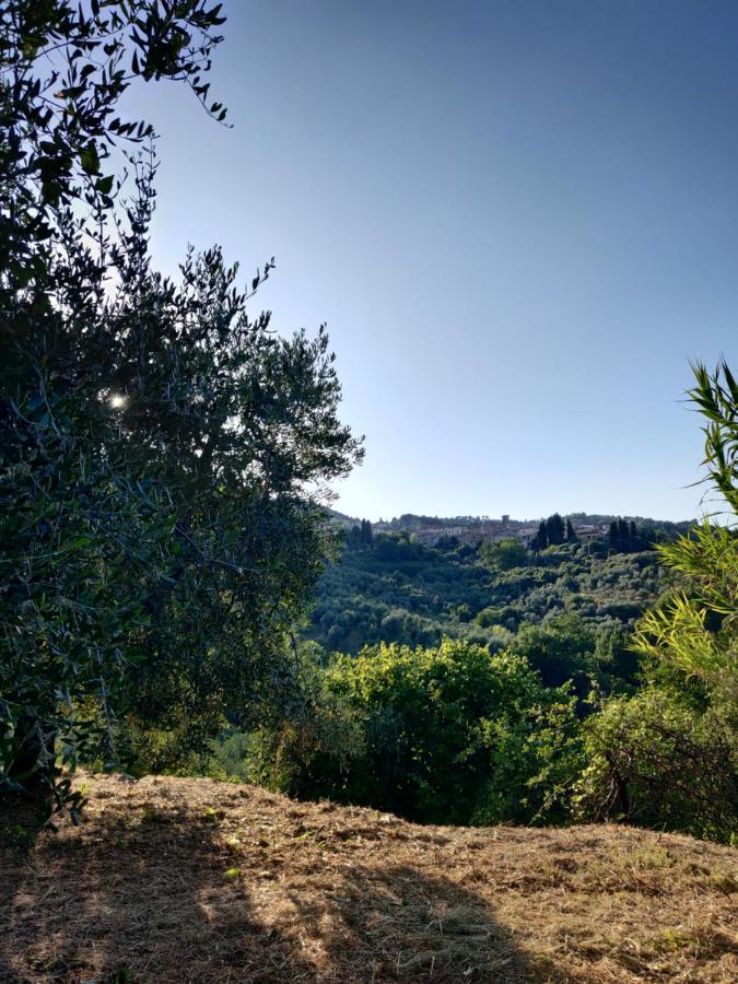 Il Rusticano Chianni Luaran gambar