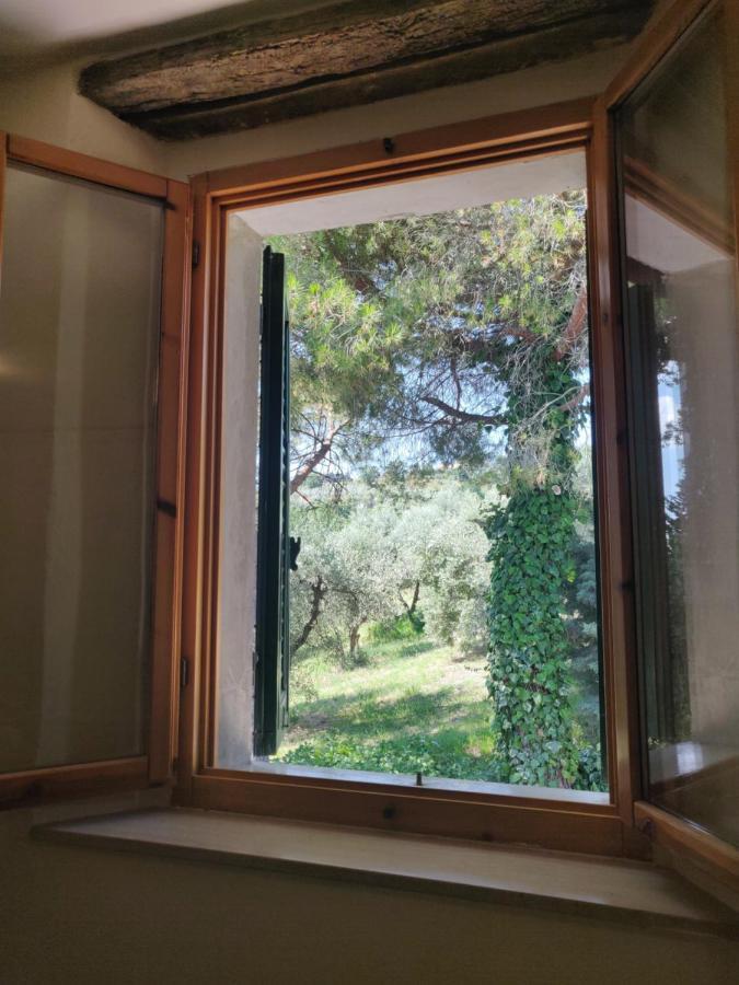 Il Rusticano Chianni Luaran gambar