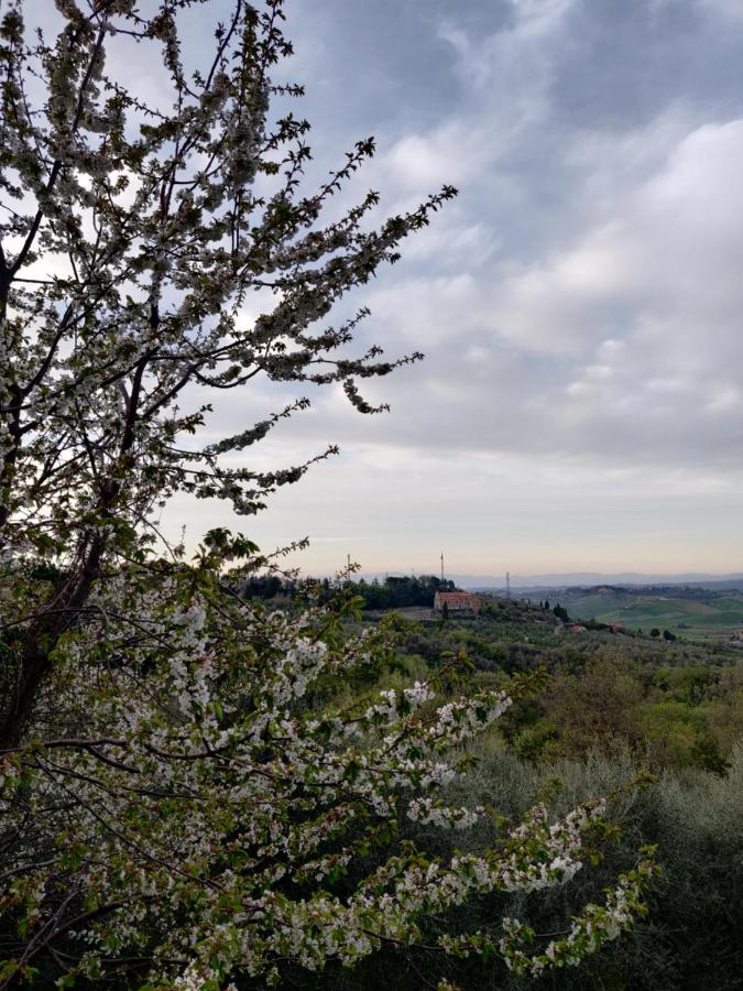 Il Rusticano Chianni Luaran gambar