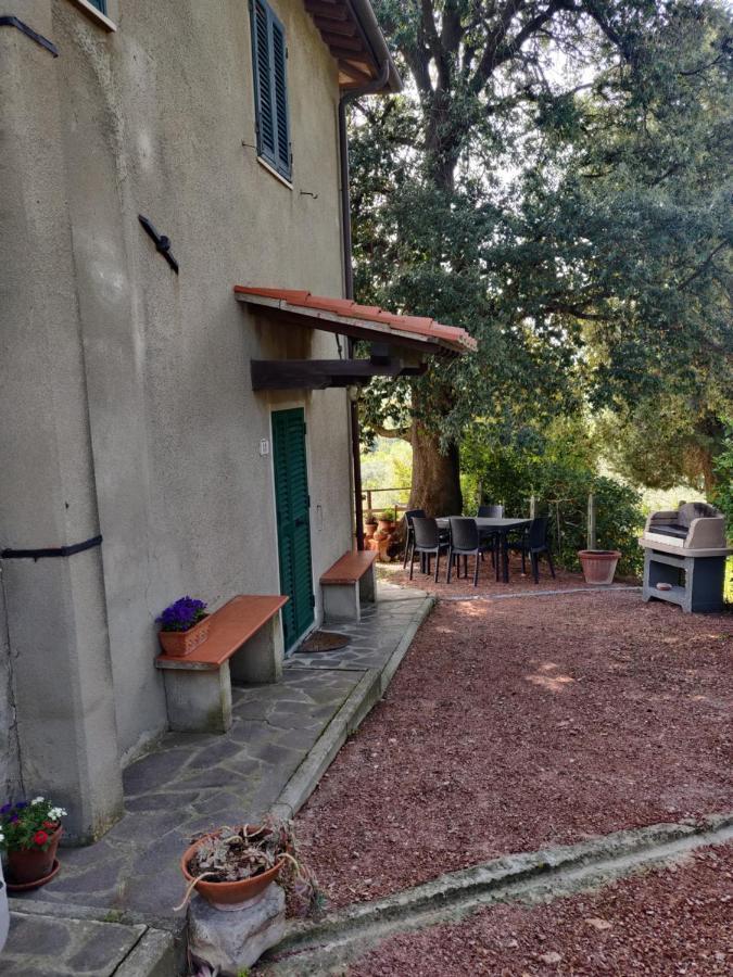 Il Rusticano Chianni Luaran gambar