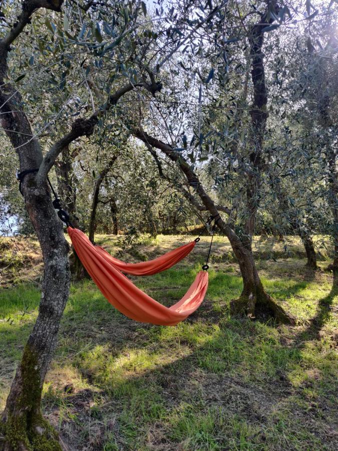 Il Rusticano Chianni Luaran gambar