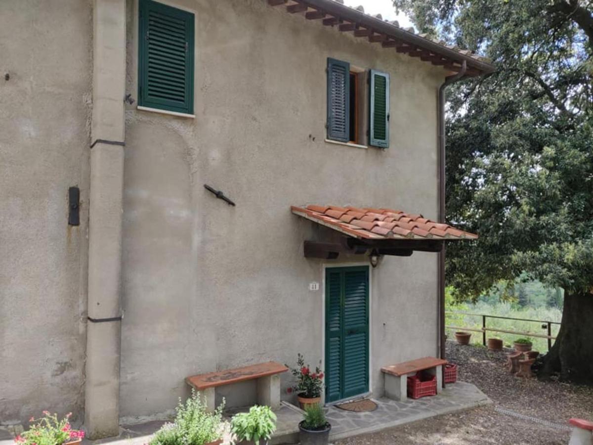 Il Rusticano Chianni Luaran gambar