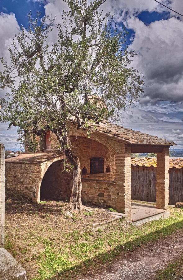 Il Rusticano Chianni Luaran gambar